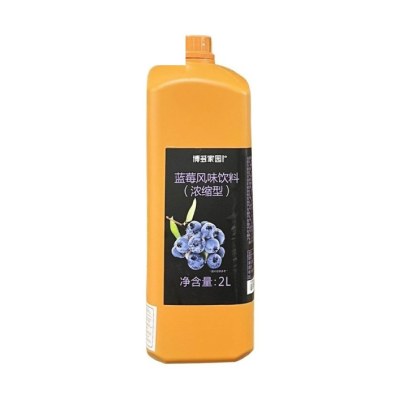 Syrup Boduo 2L Hương Việt Quất